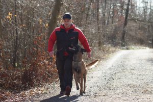 Mensch-Hund-Team beim Fußgehen
