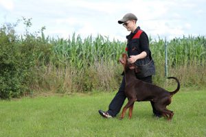 IMG_2450