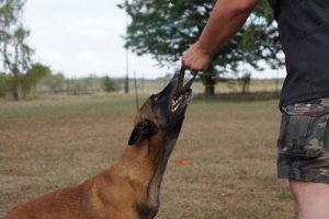 Mondiotraining 19.07.2015 018
